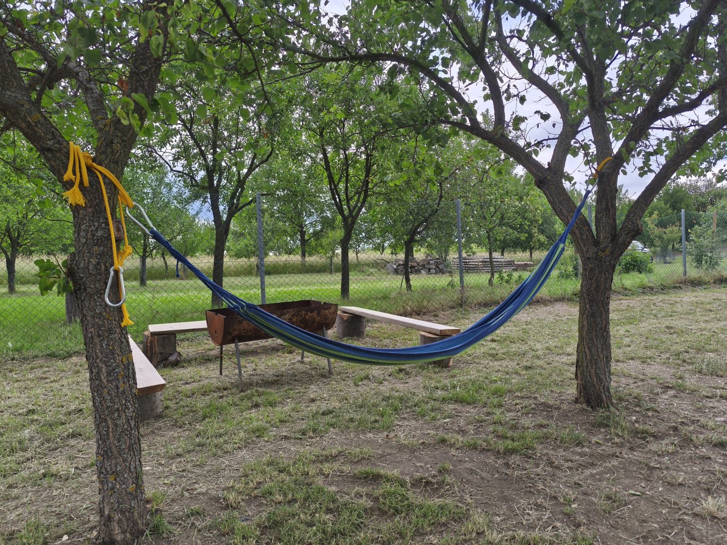 We got swings to relax!